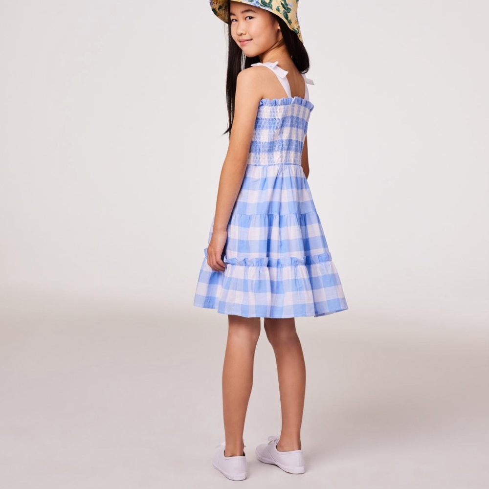 Janie and Jack Gingham Blue and White Toddler Dress